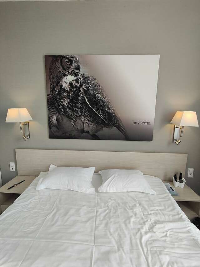 Гостиница Сова Нижний Новгород-13