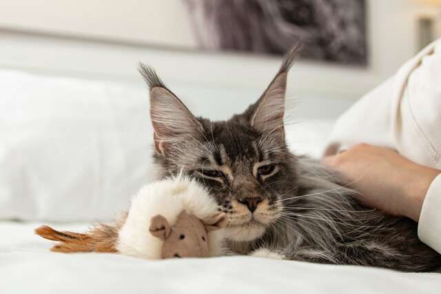 Гостиница Сова Нижний Новгород-122