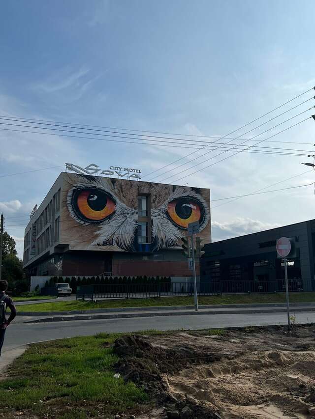 Гостиница Сова Нижний Новгород-20